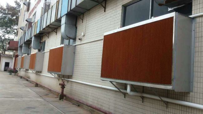 水帘降温：温室的清凉守护者